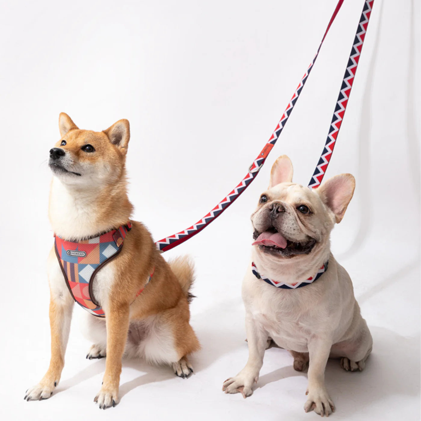 How a Double Dog Lead Simplifies Walking Two Pets