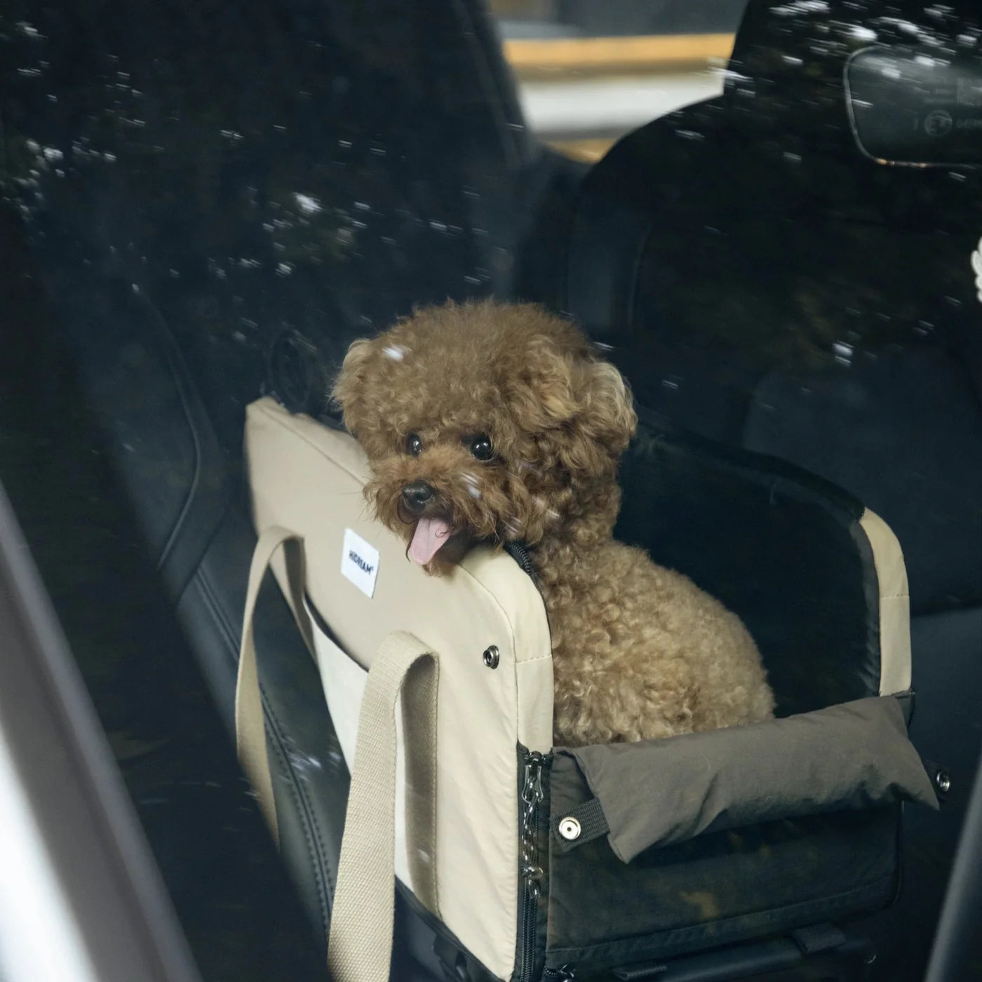 Choosing the Best Car Seat for Your Furry Friend