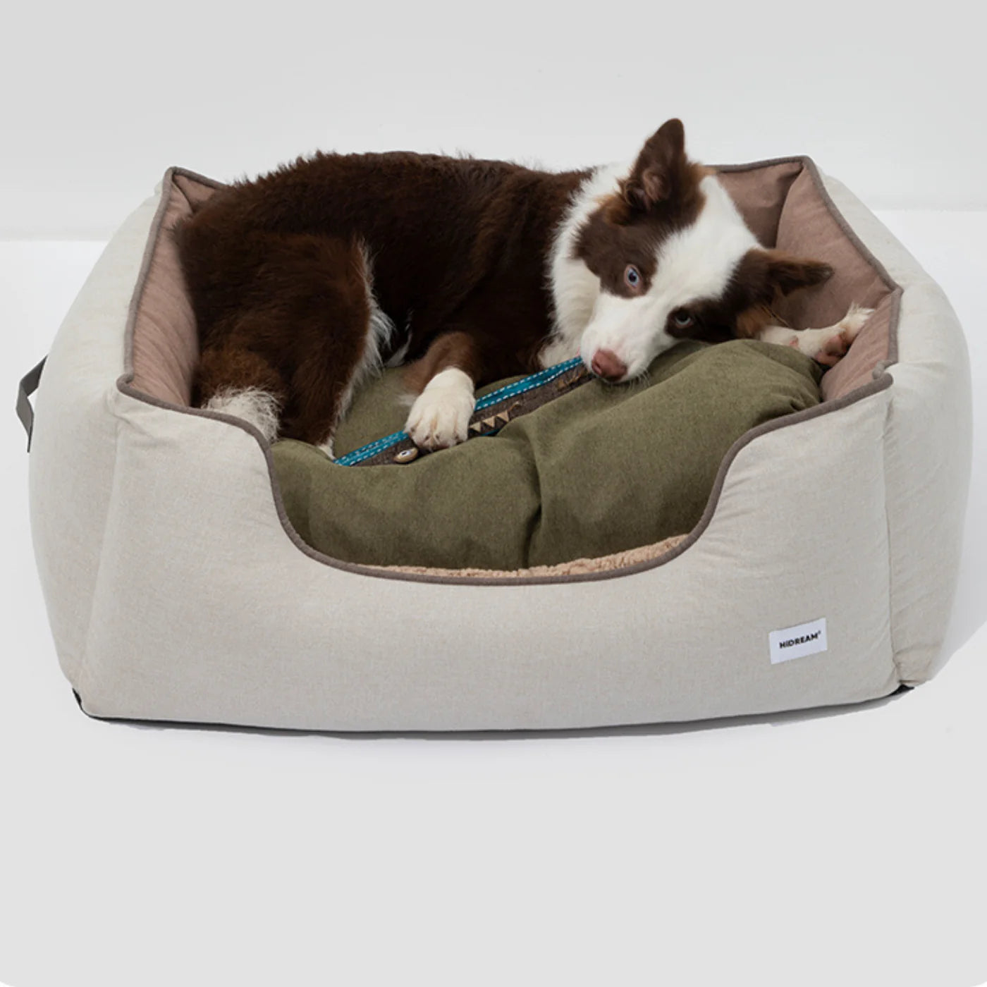 Anti-Anxiety Dog Beds vs. Traditional Dog Beds