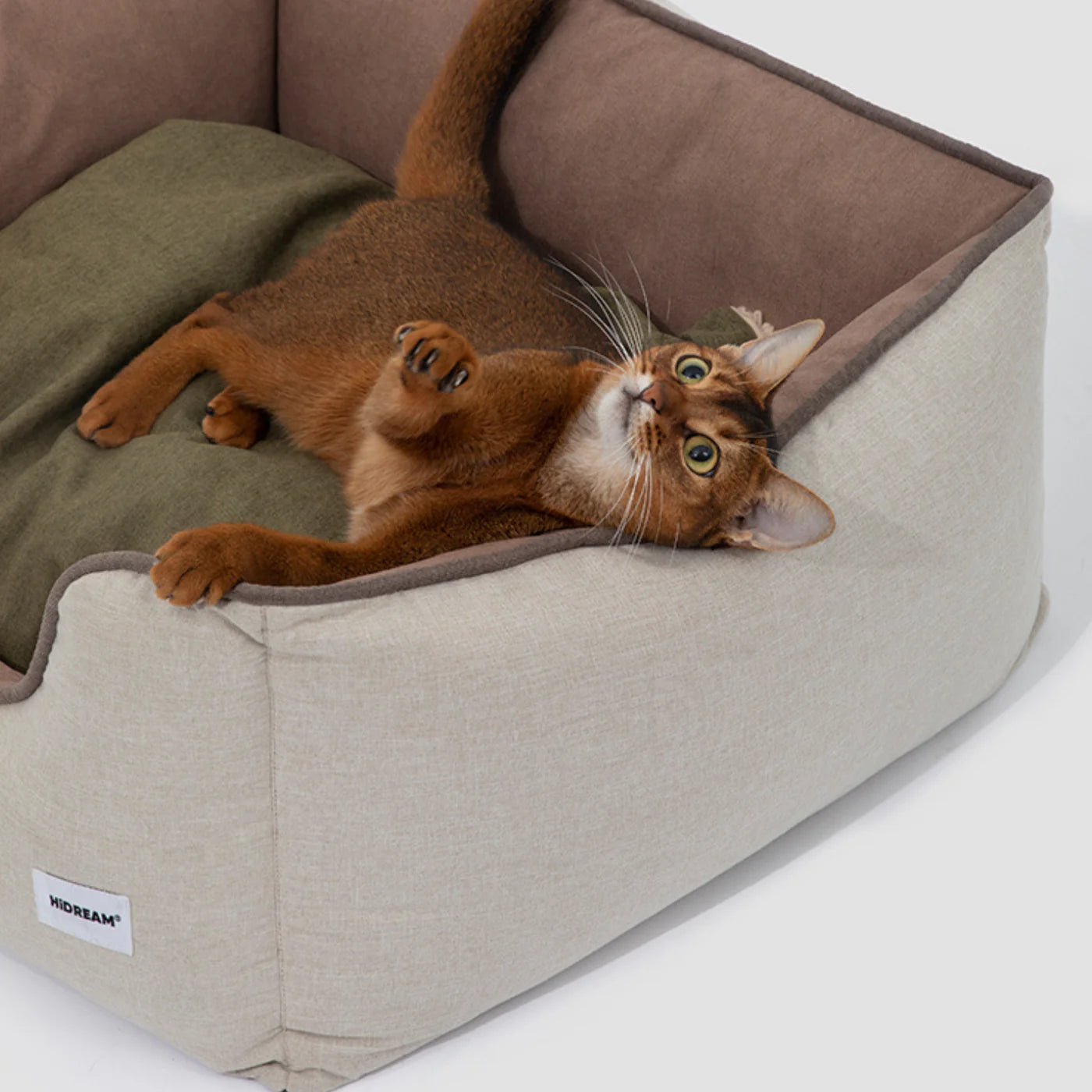 Top 10 Cozy Cat Beds for Every Type of Sleeper