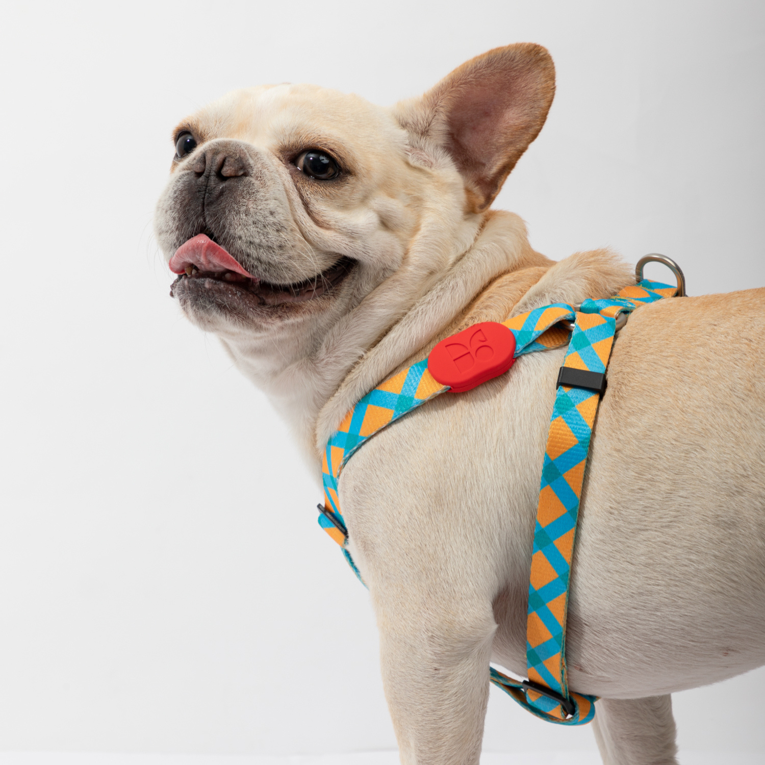 Y Shaped Dog Harness, Anti Pull Adjustable Dog Harness, Colorful Series