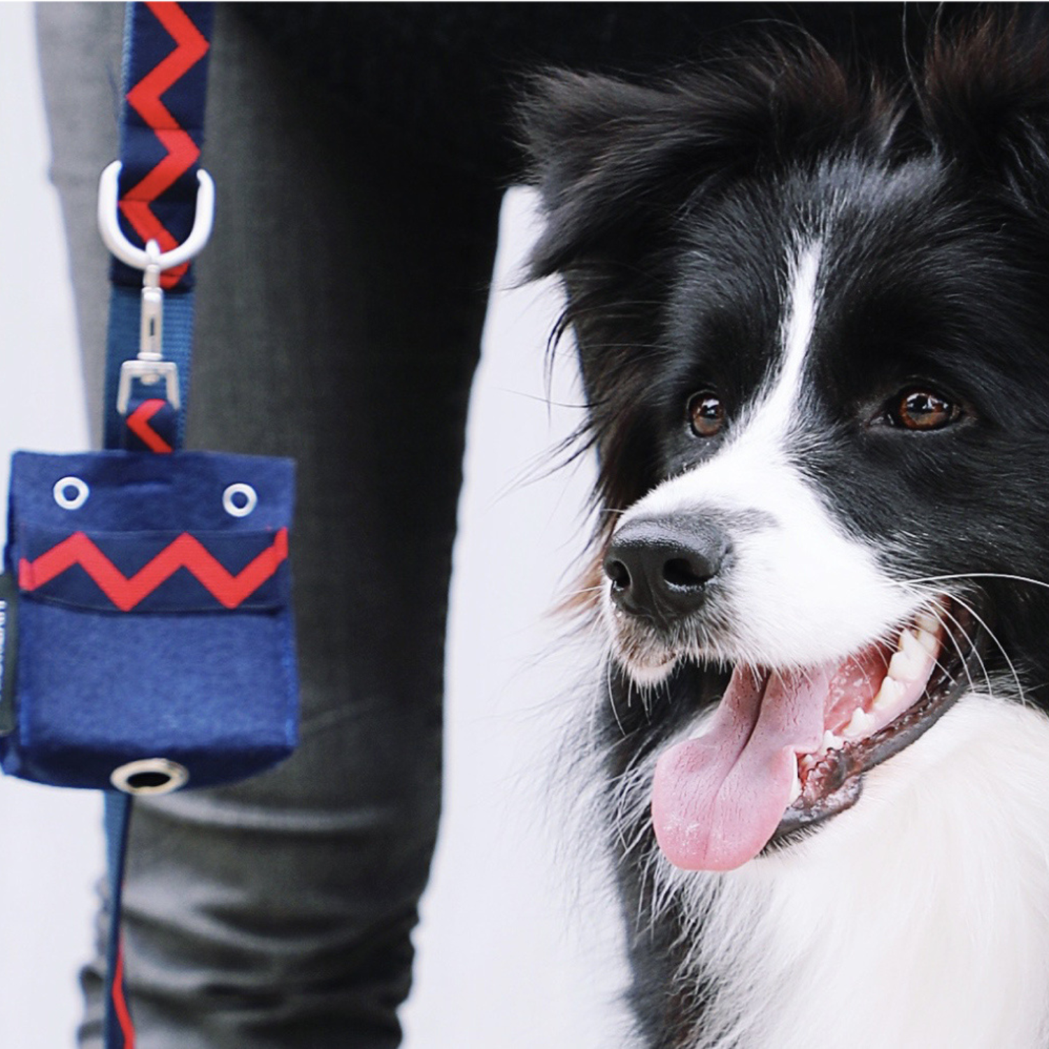 Dog Poop Holder with Biodegradable Dog Poop Bags