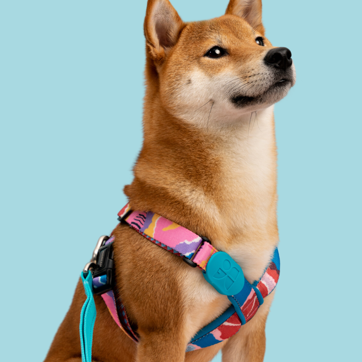 Pet Harness for Dogs, Anti Pull Adjustable Dog Harness