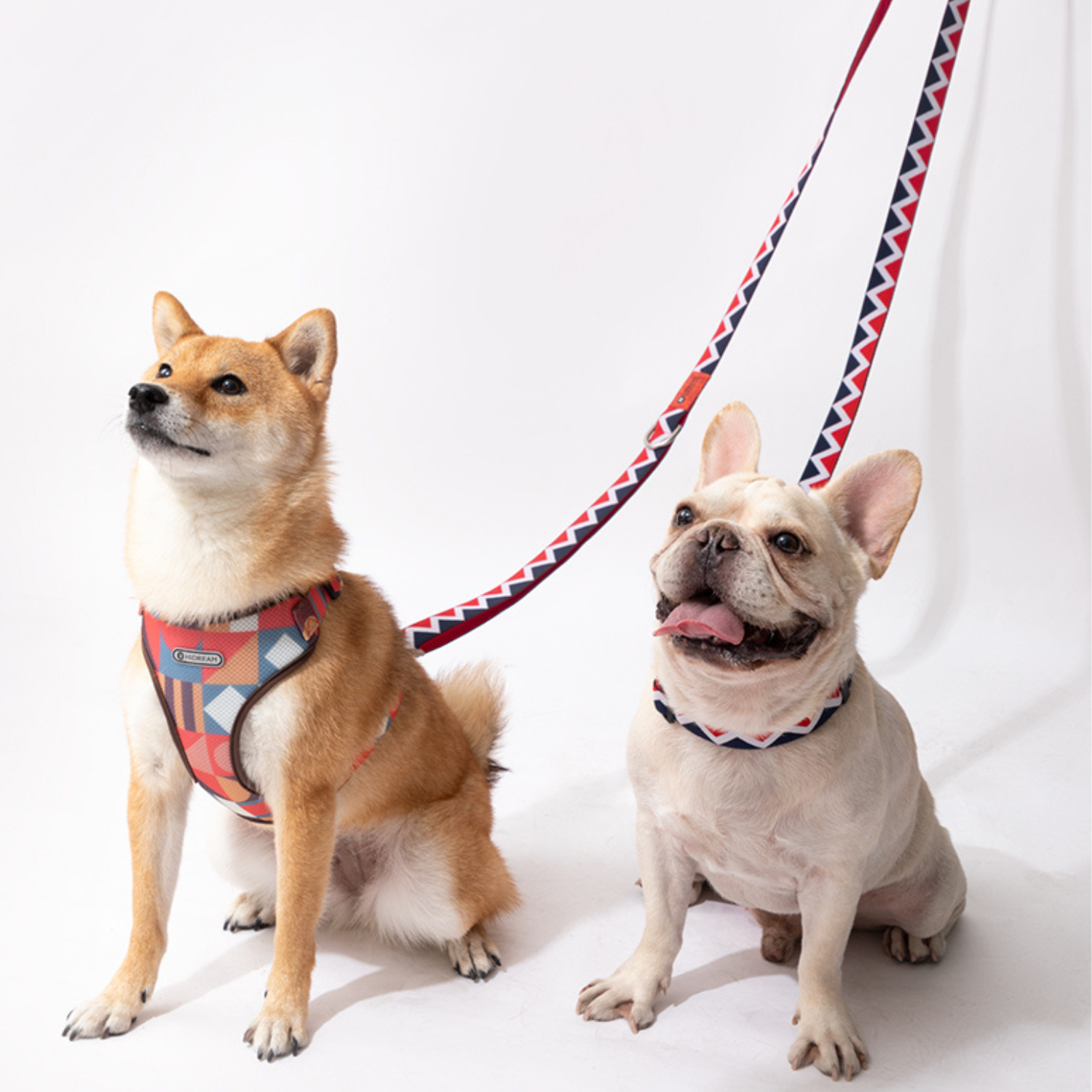 Double Dog Lead No Tangle, Crossbody Dog Leash for 2 Dogs