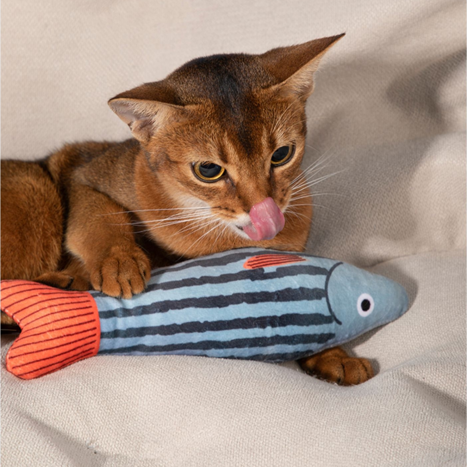 Dental Cat Toy, Fish Catnip Toy