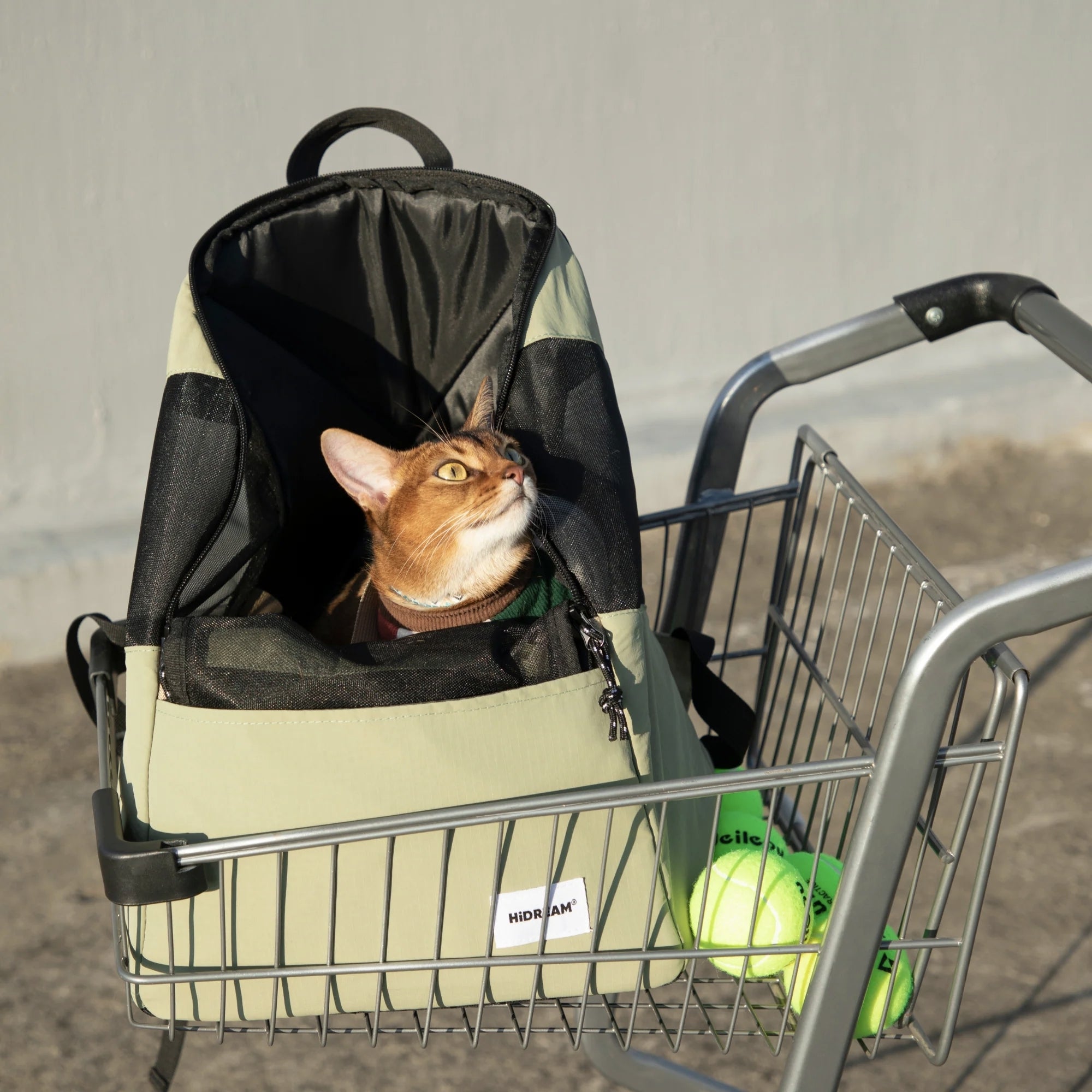 Pet Carrier Backpack Travel Bag for Small Dogs and Medium Cats