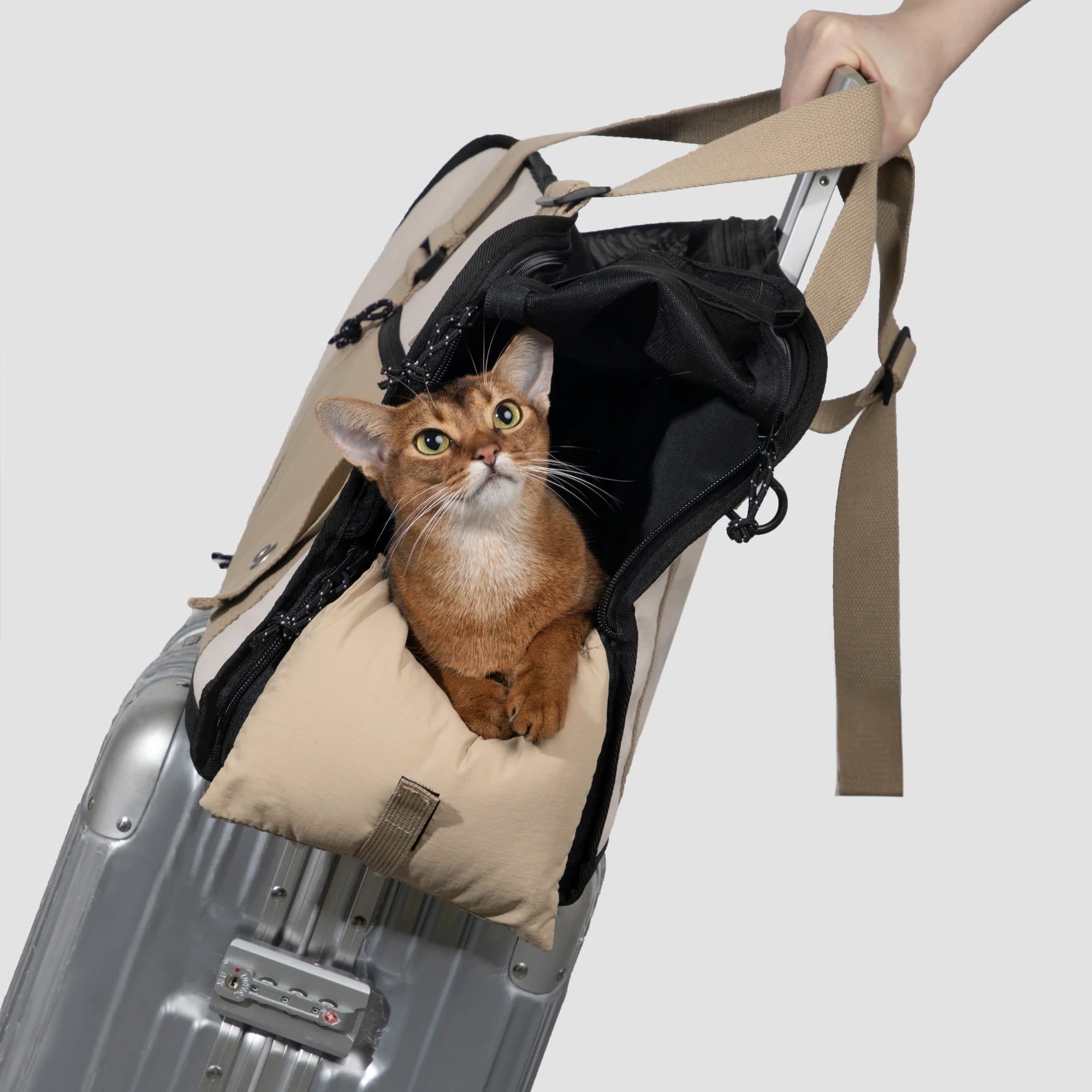 Pets Carrier Traveling Tote with Multiple Pocket