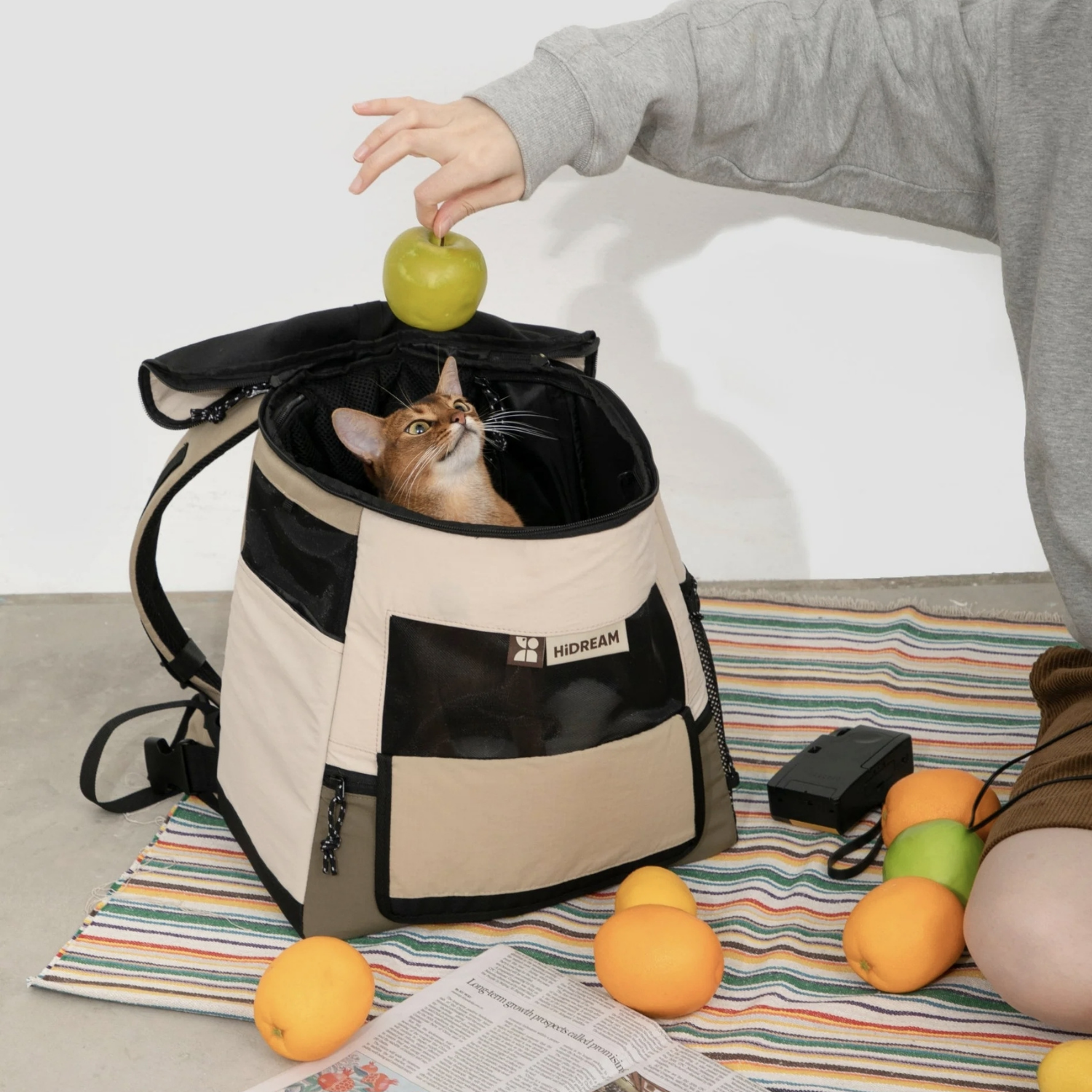 Pet Backpack Carrier with Hard Bottom Material