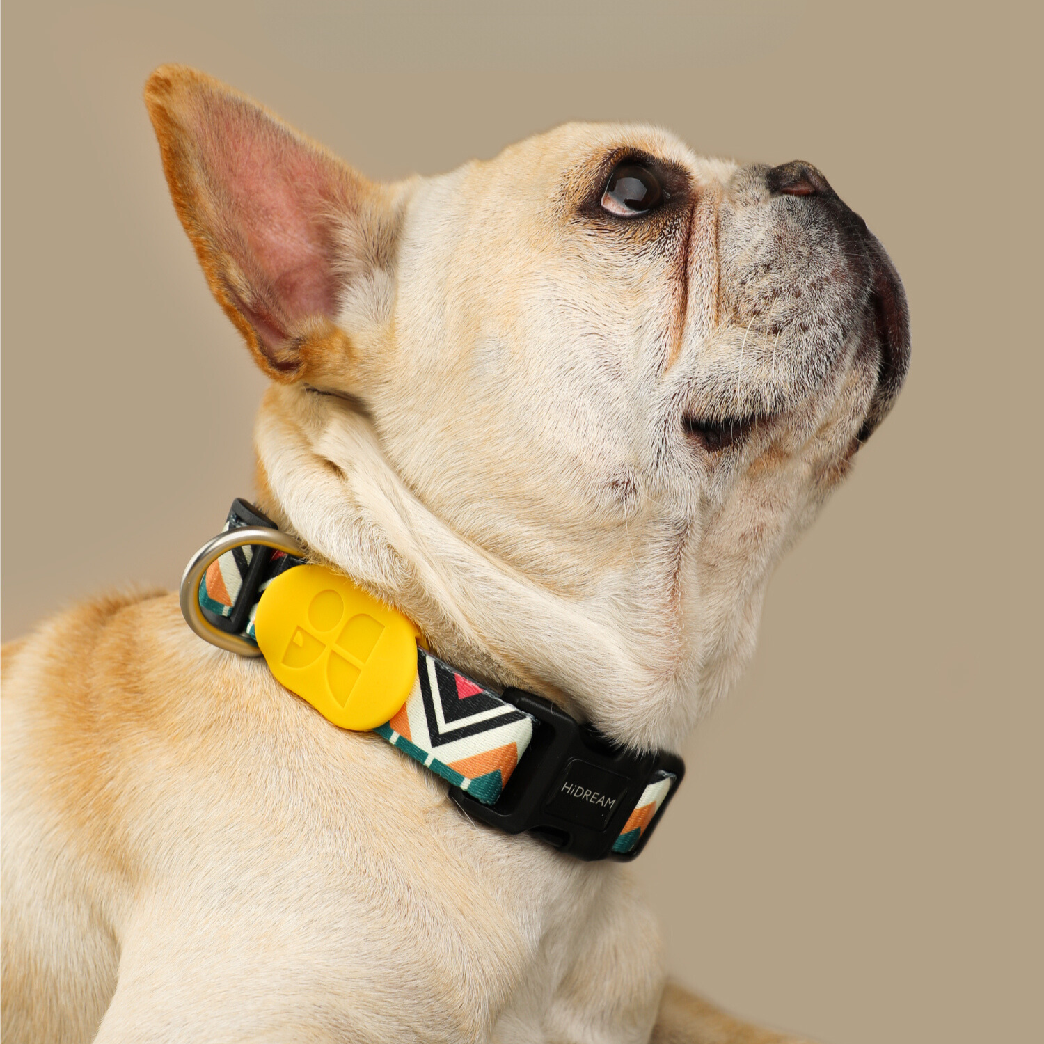 Dog Collar Adjustable Collar, Colourful Soft Natural Fabric Dog Collar