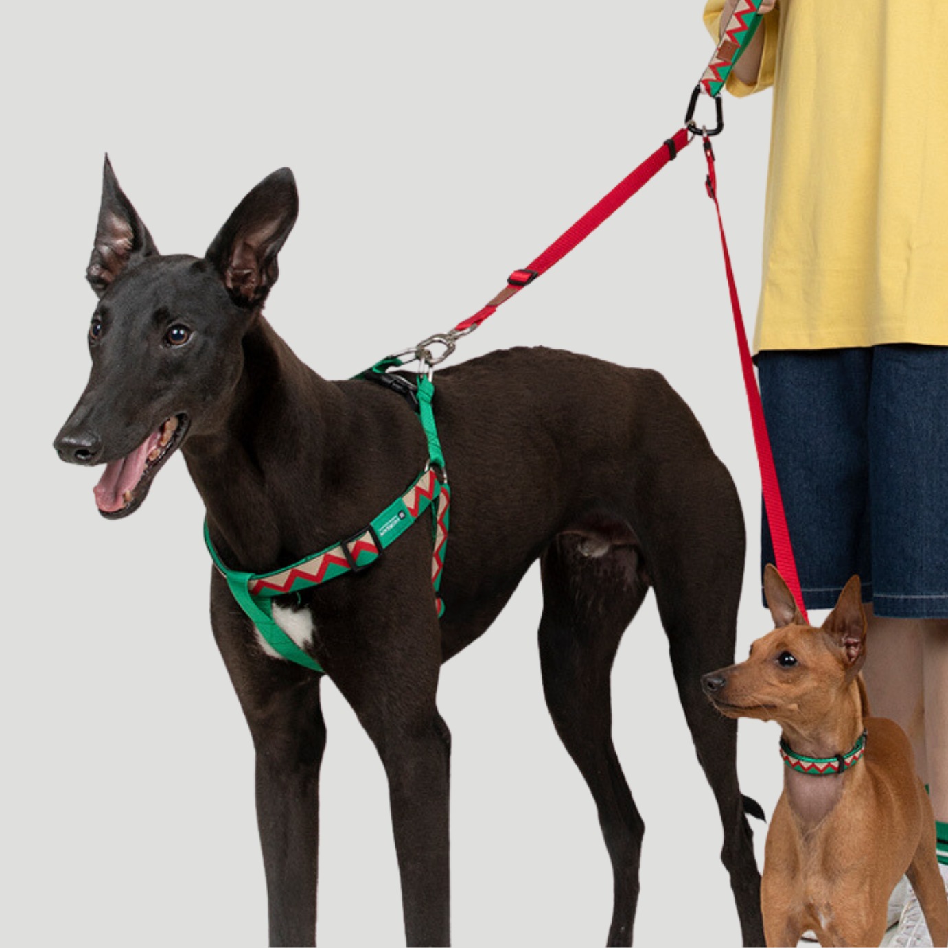 Dog Extension Leash for Dog Training