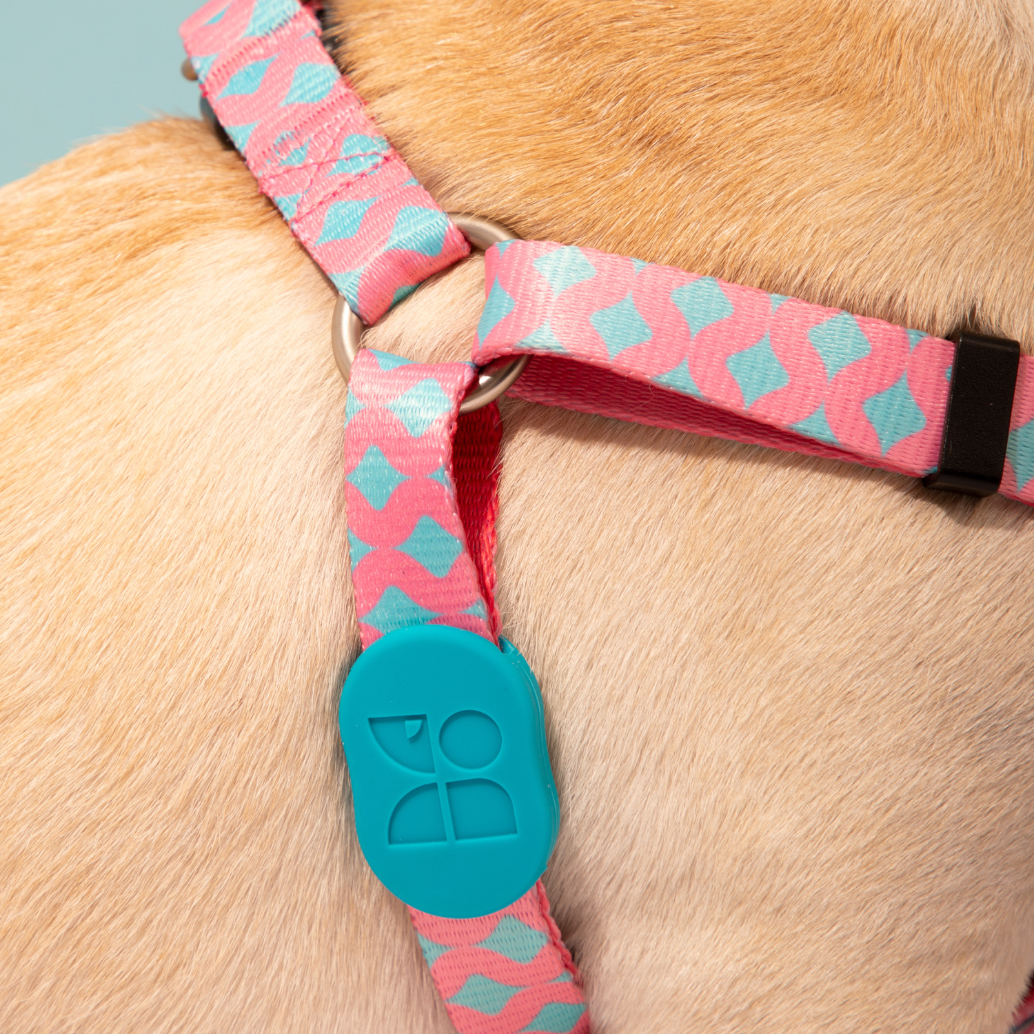 Y Shaped Dog Harness, Anti Pull Adjustable Dog Harness, Colorful Series