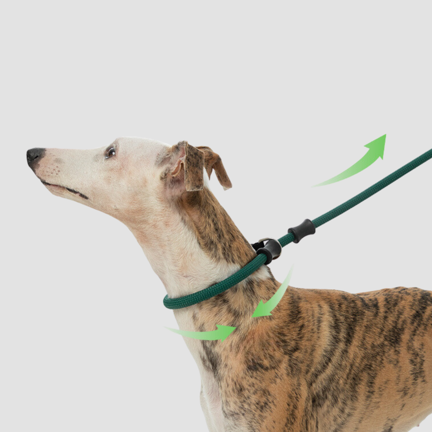 Slip Lead Dog Leash, No Pull Dog Training Leash for Large, Medium Dogs