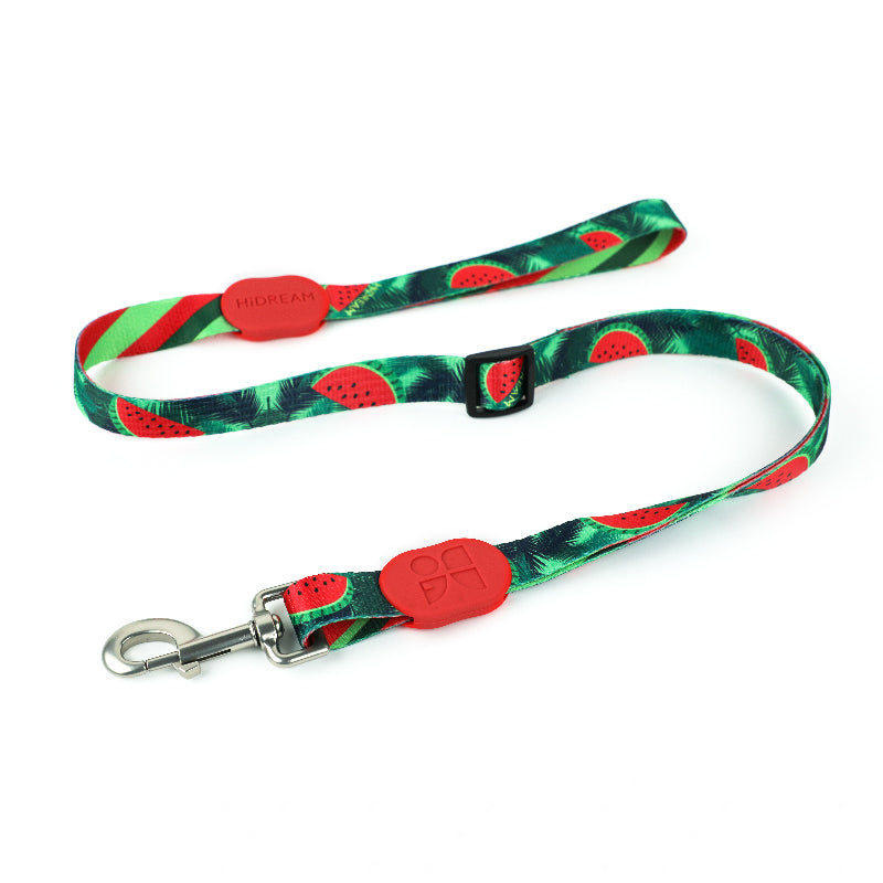 Dog Training Leash, Hands Free Dog Leash