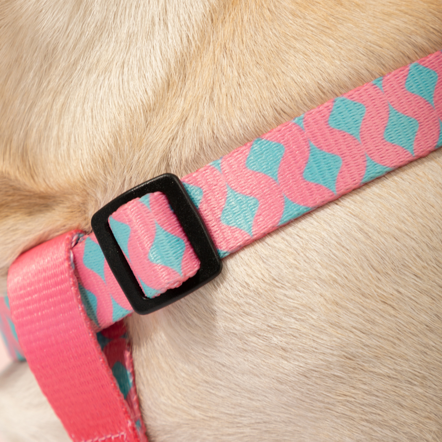 Y Shaped Dog Harness, Anti Pull Adjustable Dog Harness, Colorful Series