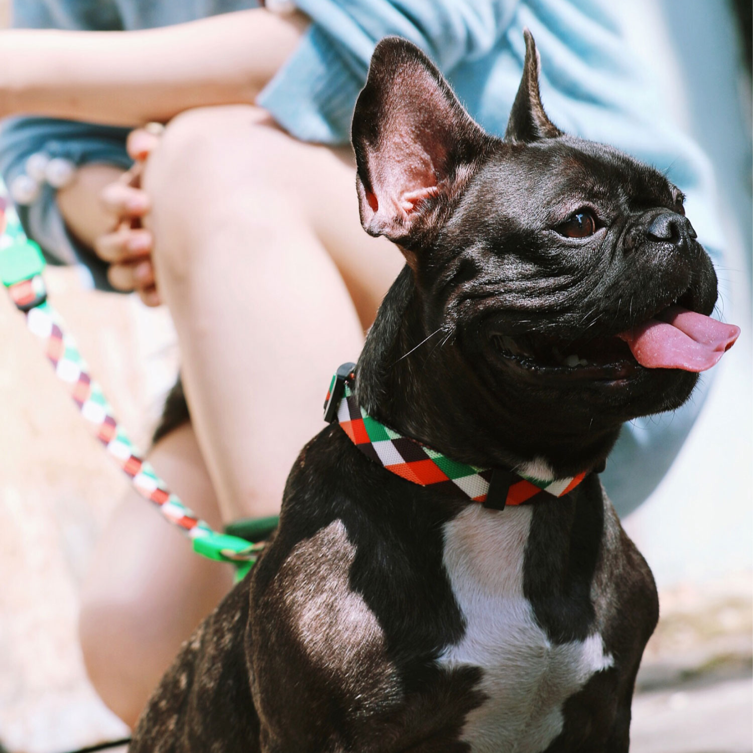 Dog Collar Adjustable Collar, Colourful Soft Natural Fabric Dog Collar