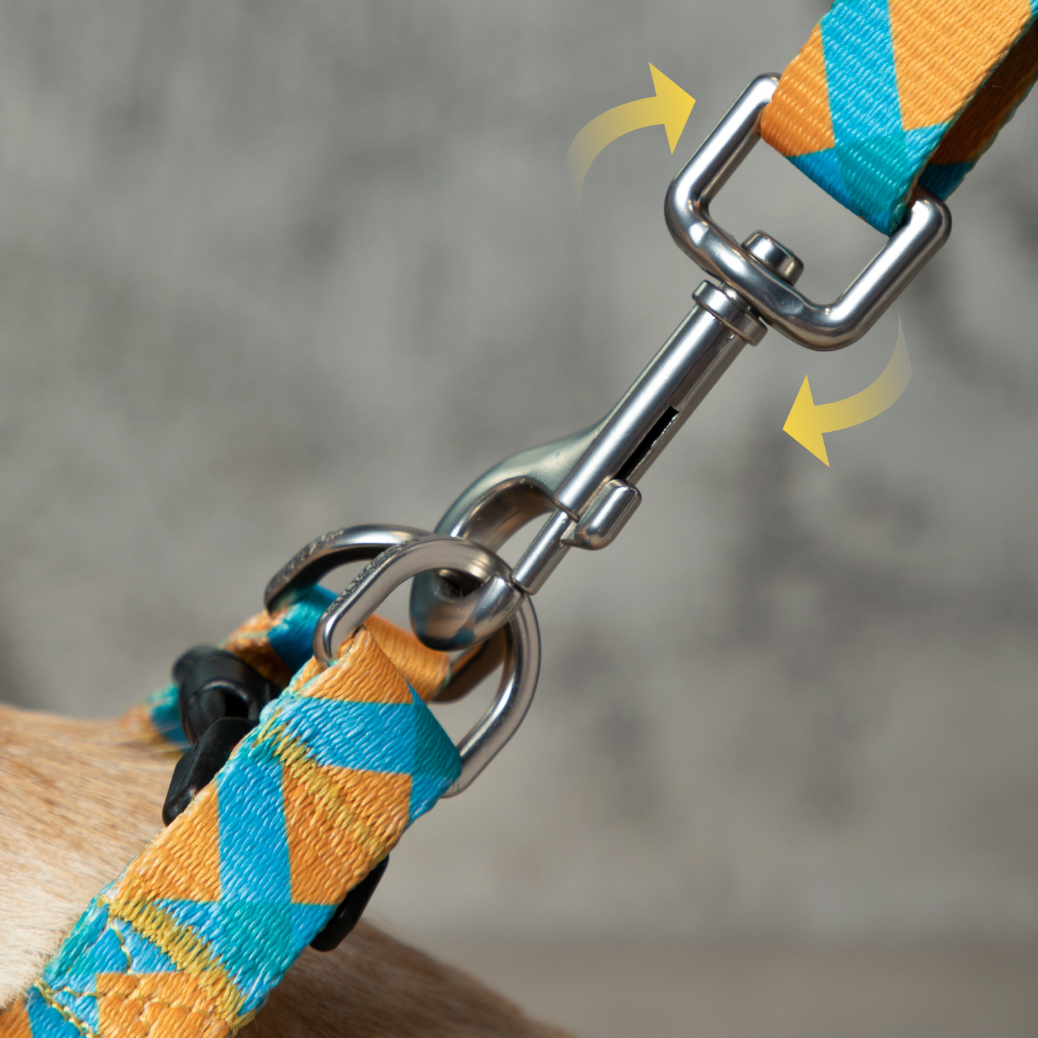 Dog Training Leash, Hands Free Dog Leash