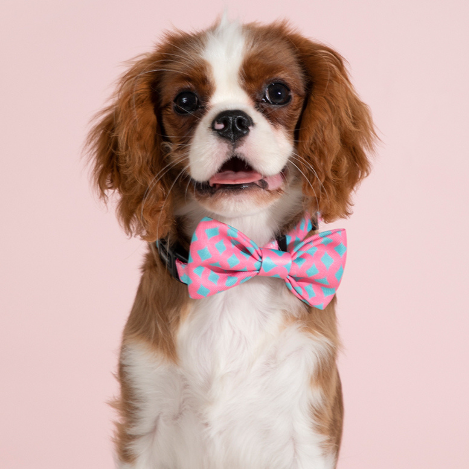 Pet Bow Tie, Adjustable Collar Bow Tie for Dogs