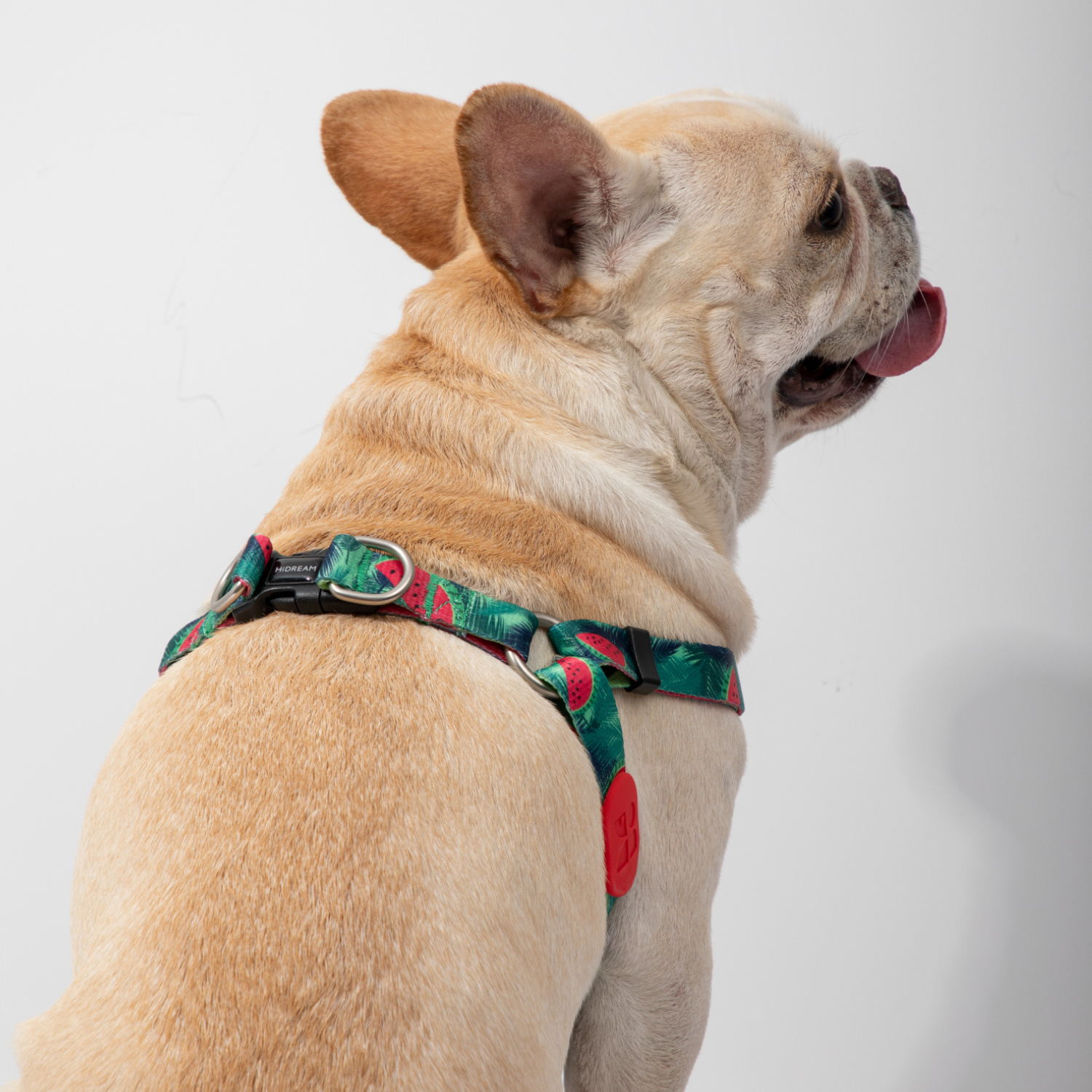 Y Shaped Dog Harness, Anti Pull Adjustable Dog Harness, Colorful Series