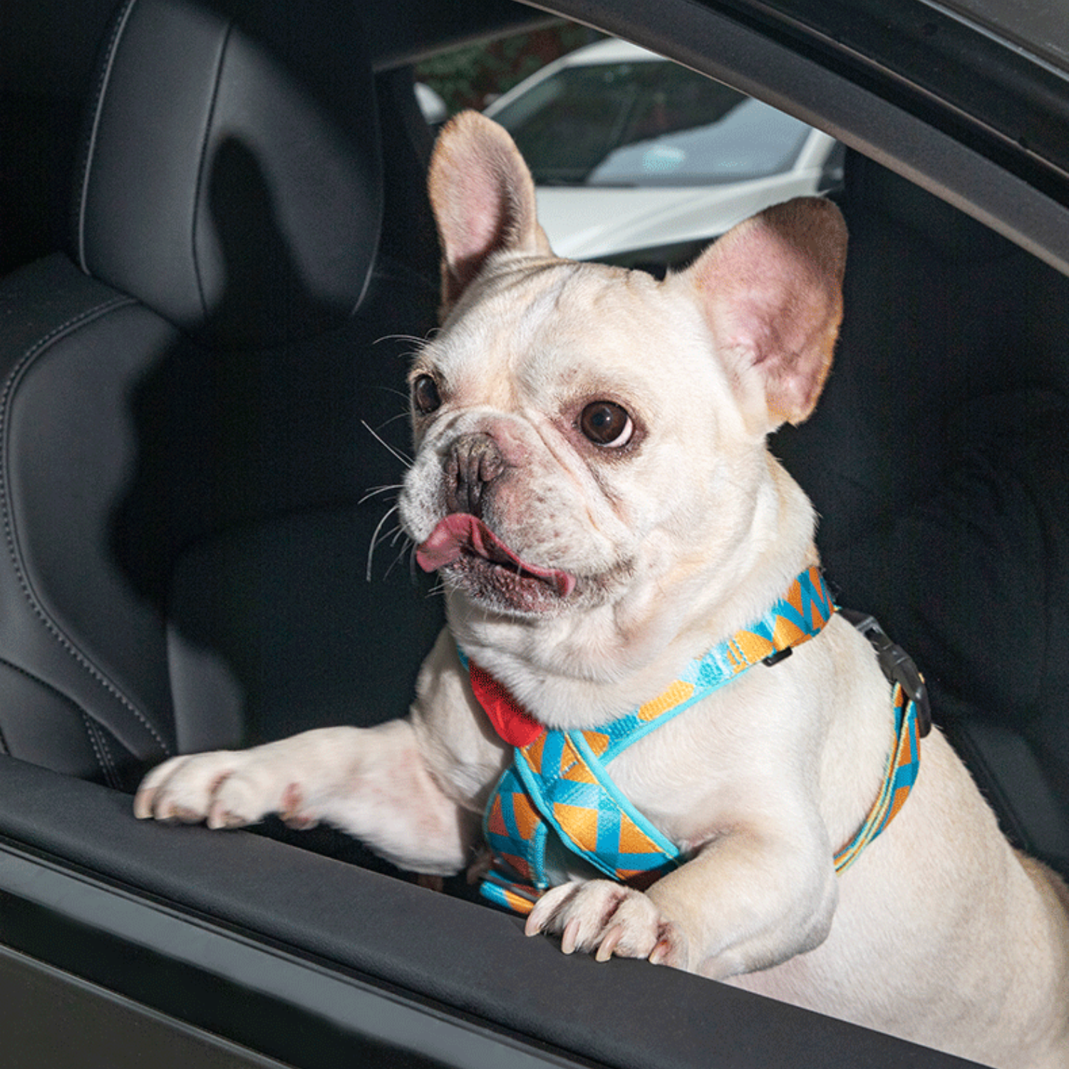 Dog Seat Belt, Adjustable Dog Car Seat Belt