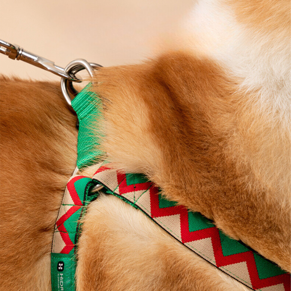 Y Shaped Dog Harness, Anti Pull Adjustable Dog Harness, Rainbow Series