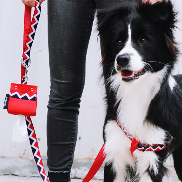 Dog Poop Holder with Biodegradable Dog Poop Bags