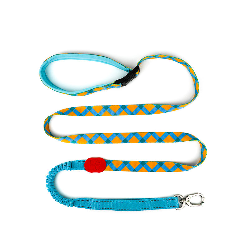 Reflective Dog Leash, Dog Leash with Soft Padded Handle