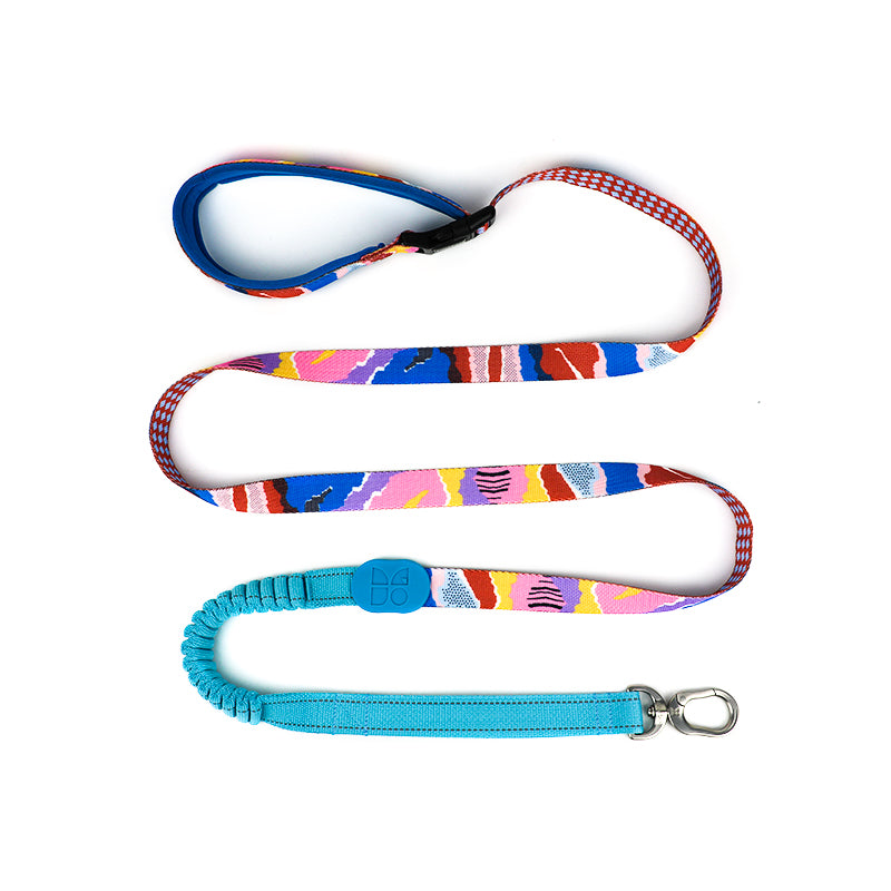 Reflective Dog Leash, Dog Leash with Soft Padded Handle